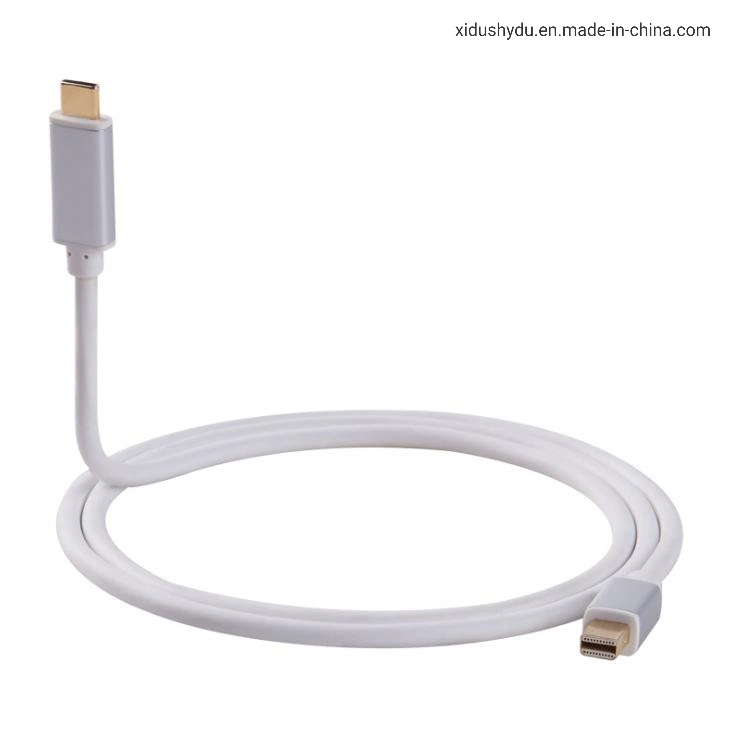 4K*2K USB C Type to Mini Dp Displayport Cable